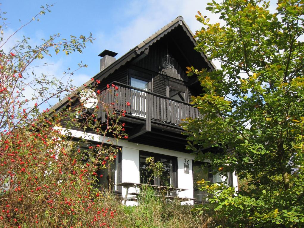 Villa Frankenau 36 Extérieur photo